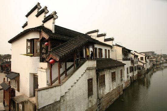 拯救可爱小浣熊